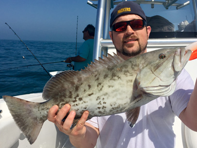 Angling Adventures Gag Grouper