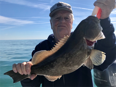 Angling Adventures Gag Grouper