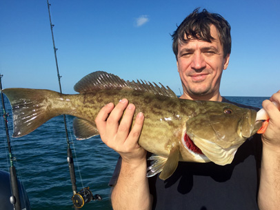 Angling Adventures gag Grouper