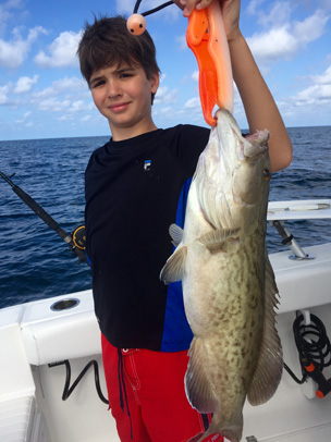 Angling Adventures gag Grouper